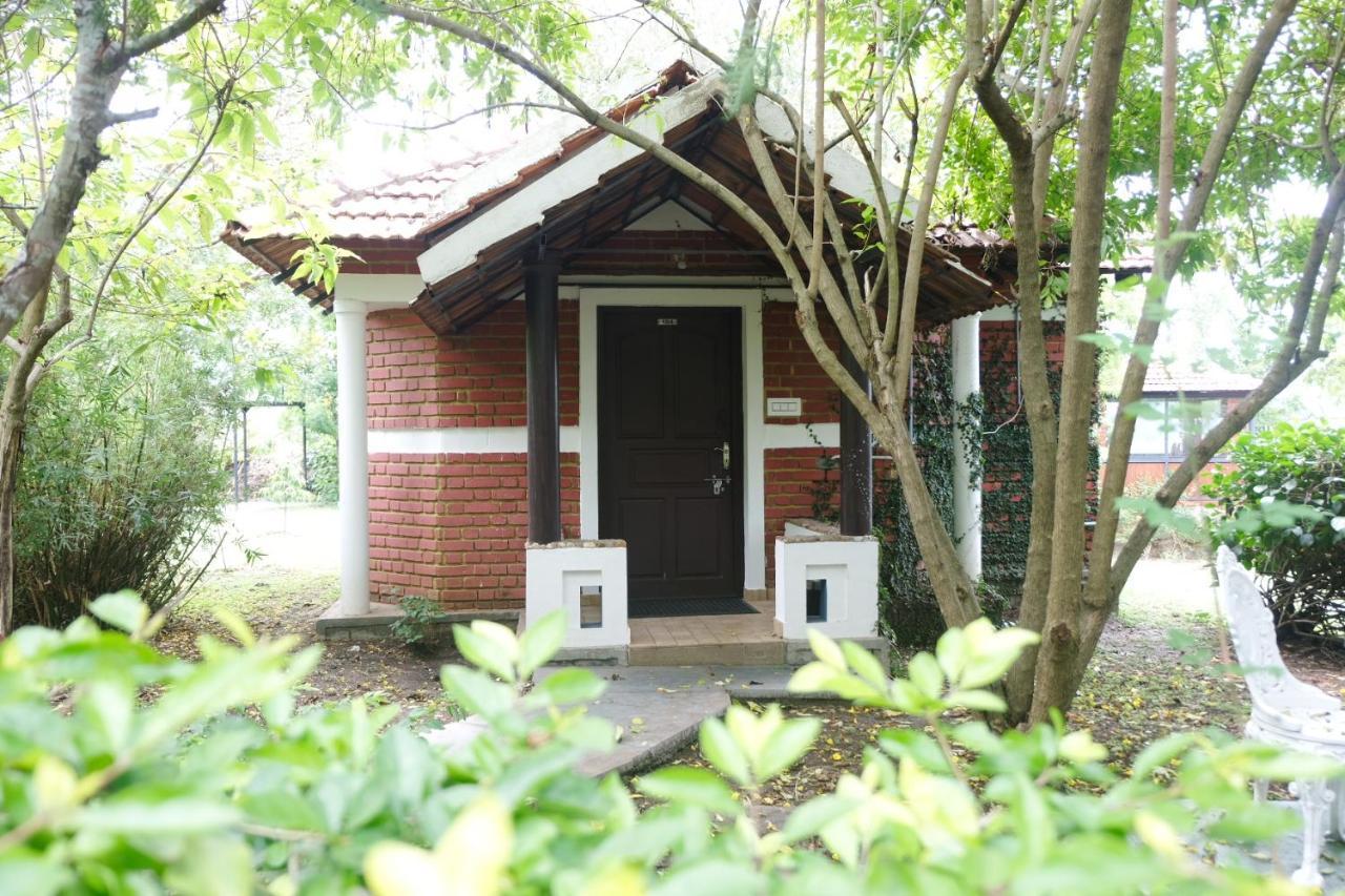 Chalets Resort Masinagudi ウーティ エクステリア 写真