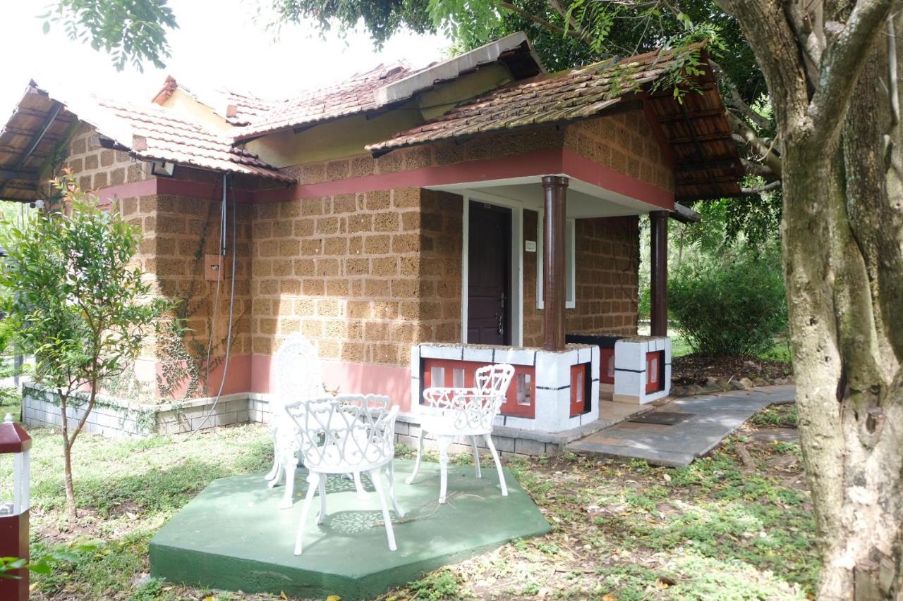 Chalets Resort Masinagudi ウーティ エクステリア 写真