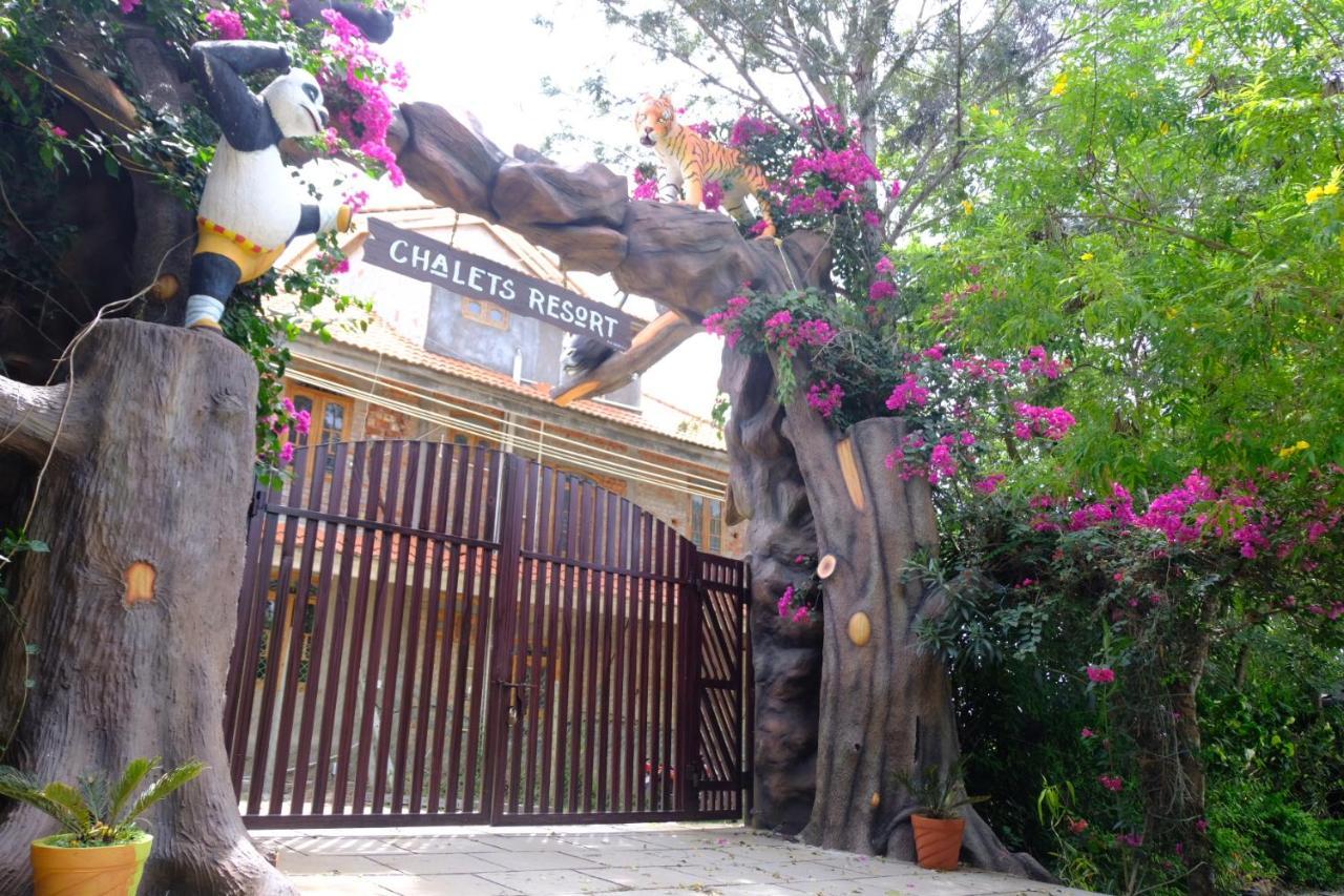 Chalets Resort Masinagudi ウーティ エクステリア 写真