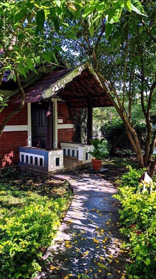 Chalets Resort Masinagudi ウーティ エクステリア 写真