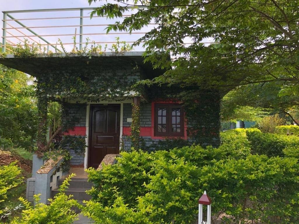 Chalets Resort Masinagudi ウーティ エクステリア 写真