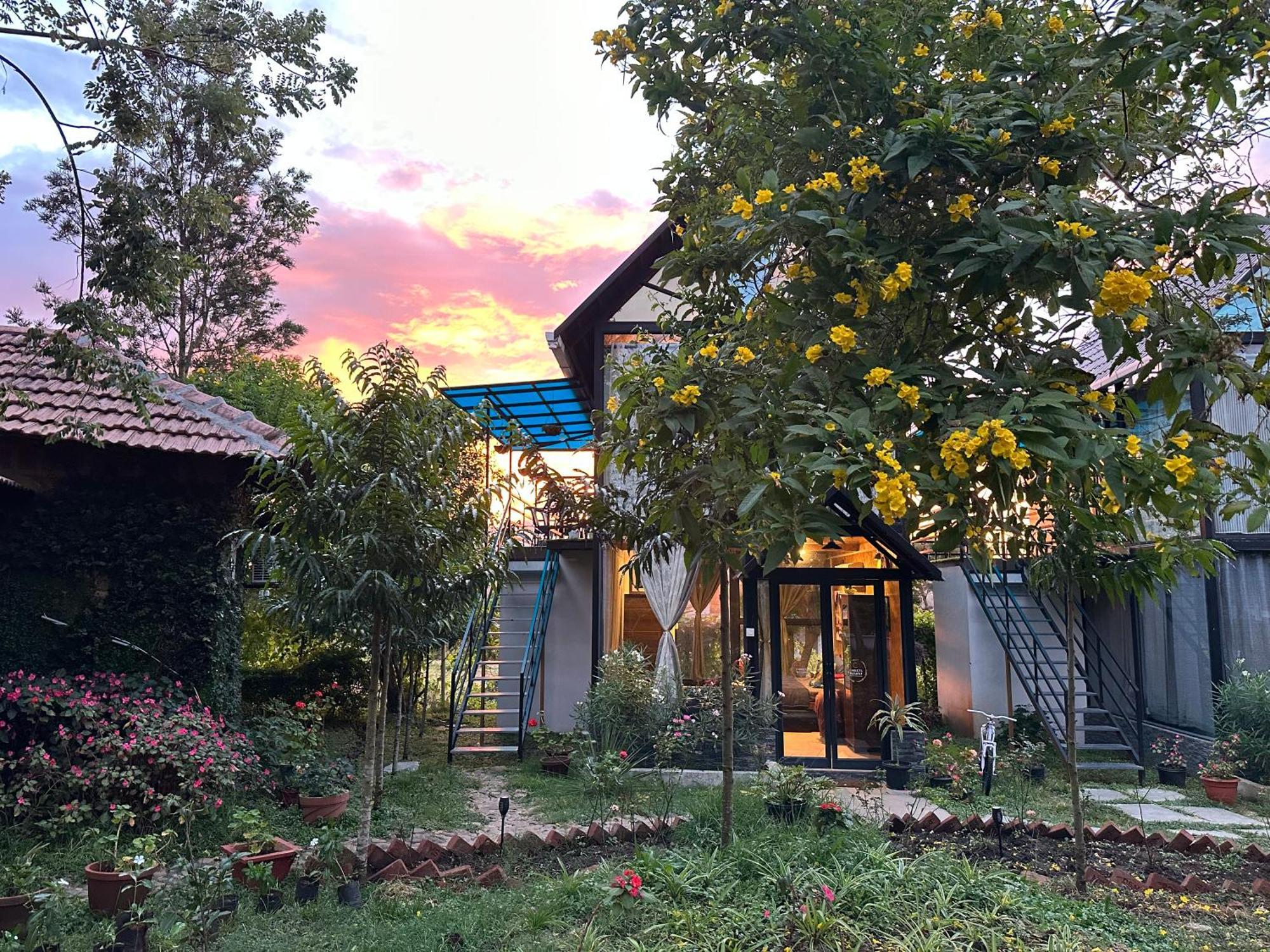 Chalets Resort Masinagudi ウーティ エクステリア 写真