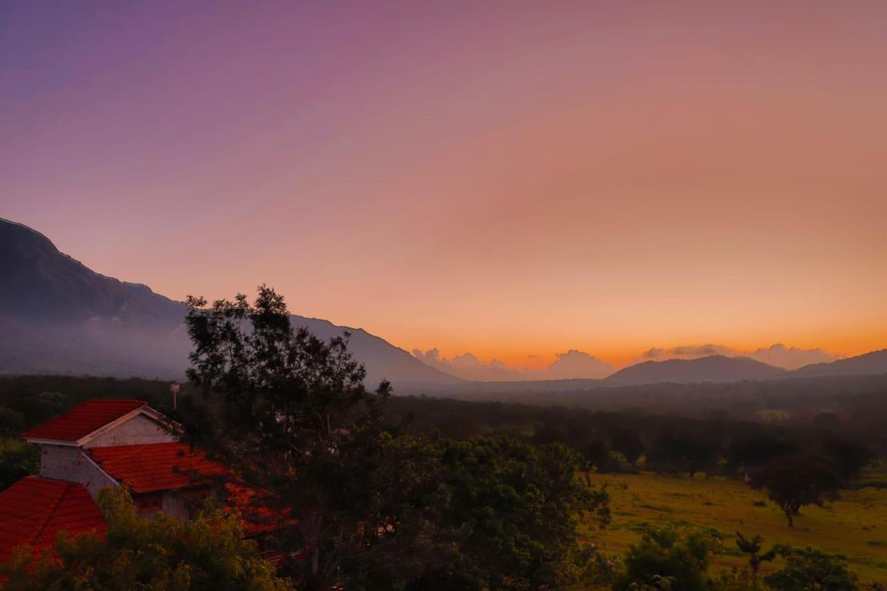 Chalets Resort Masinagudi ウーティ エクステリア 写真