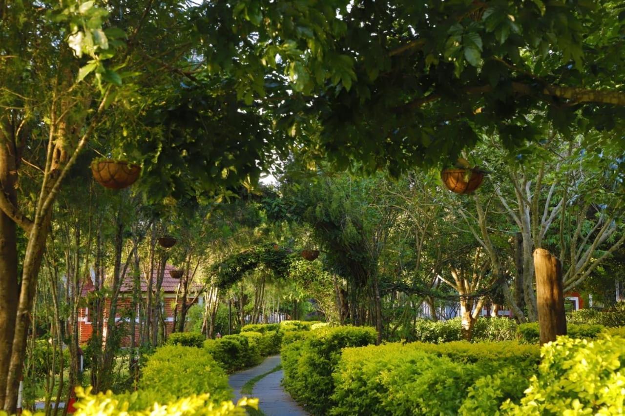 Chalets Resort Masinagudi ウーティ エクステリア 写真