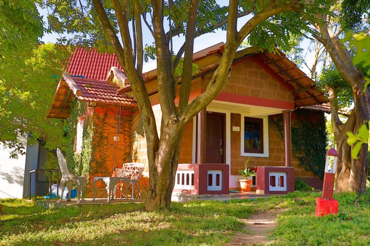 Chalets Resort Masinagudi ウーティ エクステリア 写真