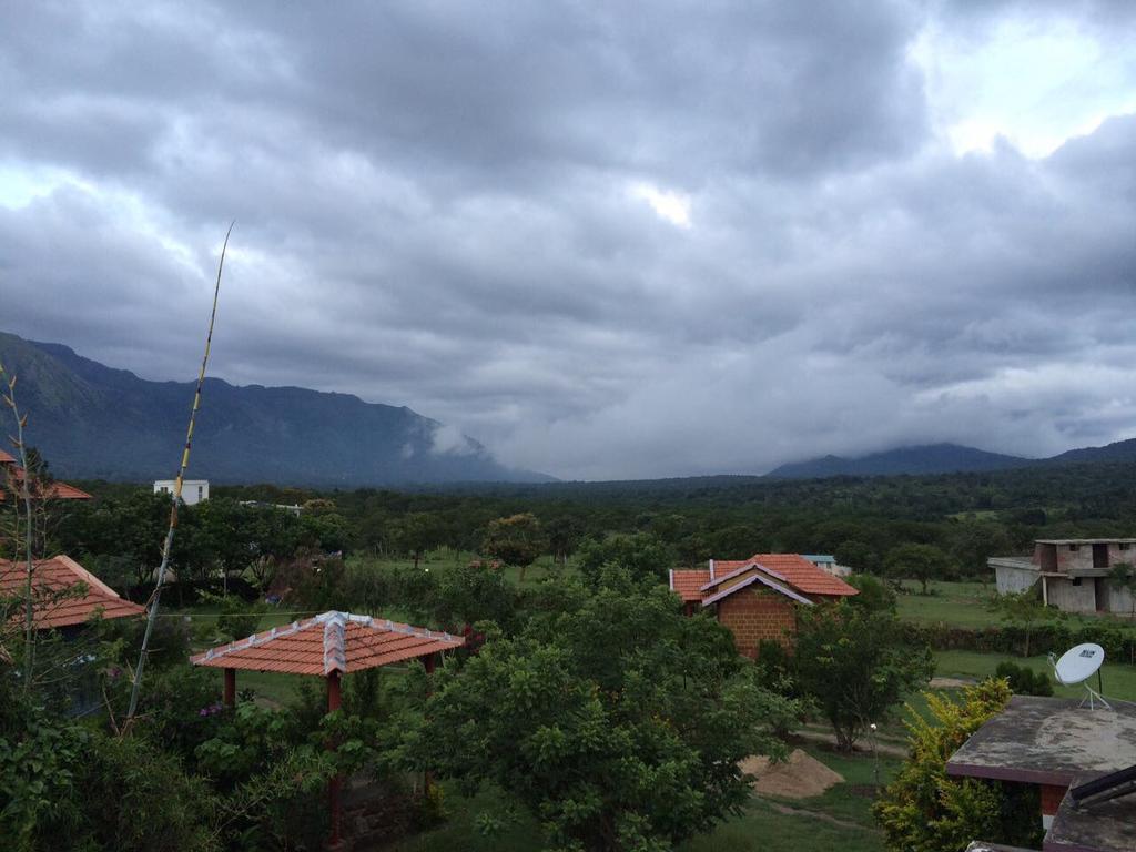 Chalets Resort Masinagudi ウーティ エクステリア 写真