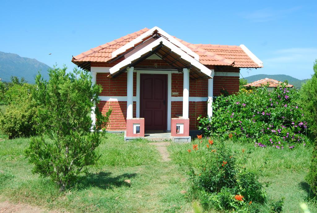 Chalets Resort Masinagudi ウーティ エクステリア 写真