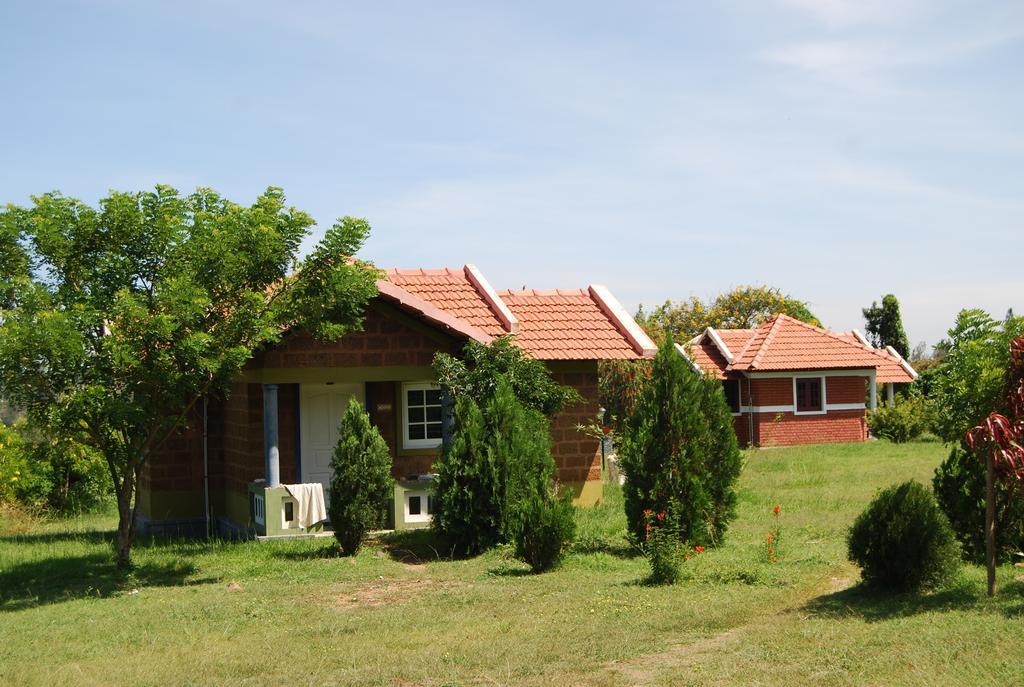Chalets Resort Masinagudi ウーティ エクステリア 写真