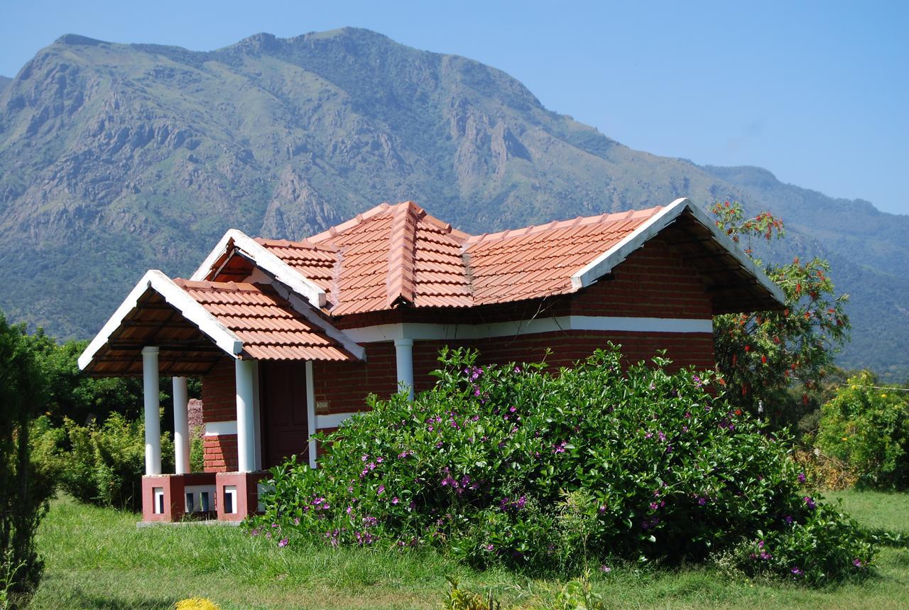 Chalets Resort Masinagudi ウーティ エクステリア 写真